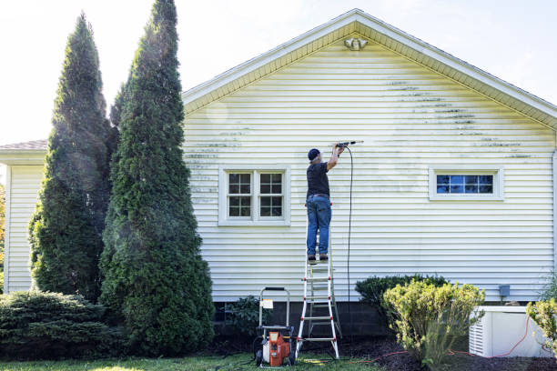 Best Driveway Pressure Washing  in New Plymouth, ID